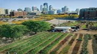 City Garden