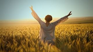 Woman raised with her hands to the sky in a wheat field